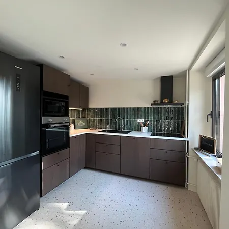 A L'ancienne Forge - Maison Avec Jardin Feriehus Thann