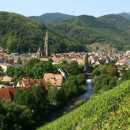 A L'ancienne Forge - Maison Avec Jardin